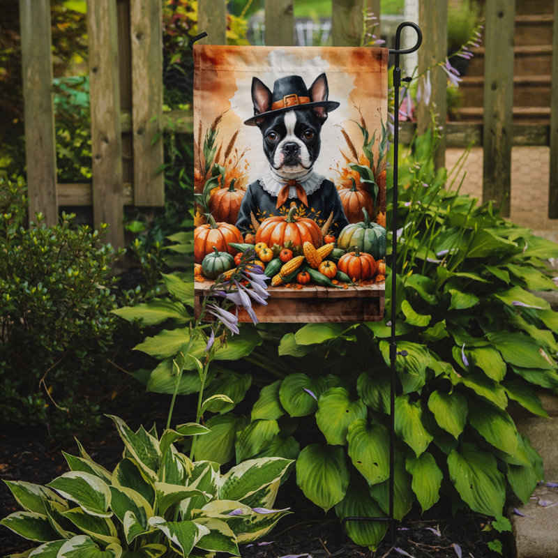 Drapeau du jardin de l'Action de grâce, Boston Terrier