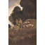 «New Pleasures II» par Maxfield Parrish, toile tendue avec châssis-1117876689
