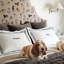 Vienna Velvet Shale Quilted Sham-39398227-15287417