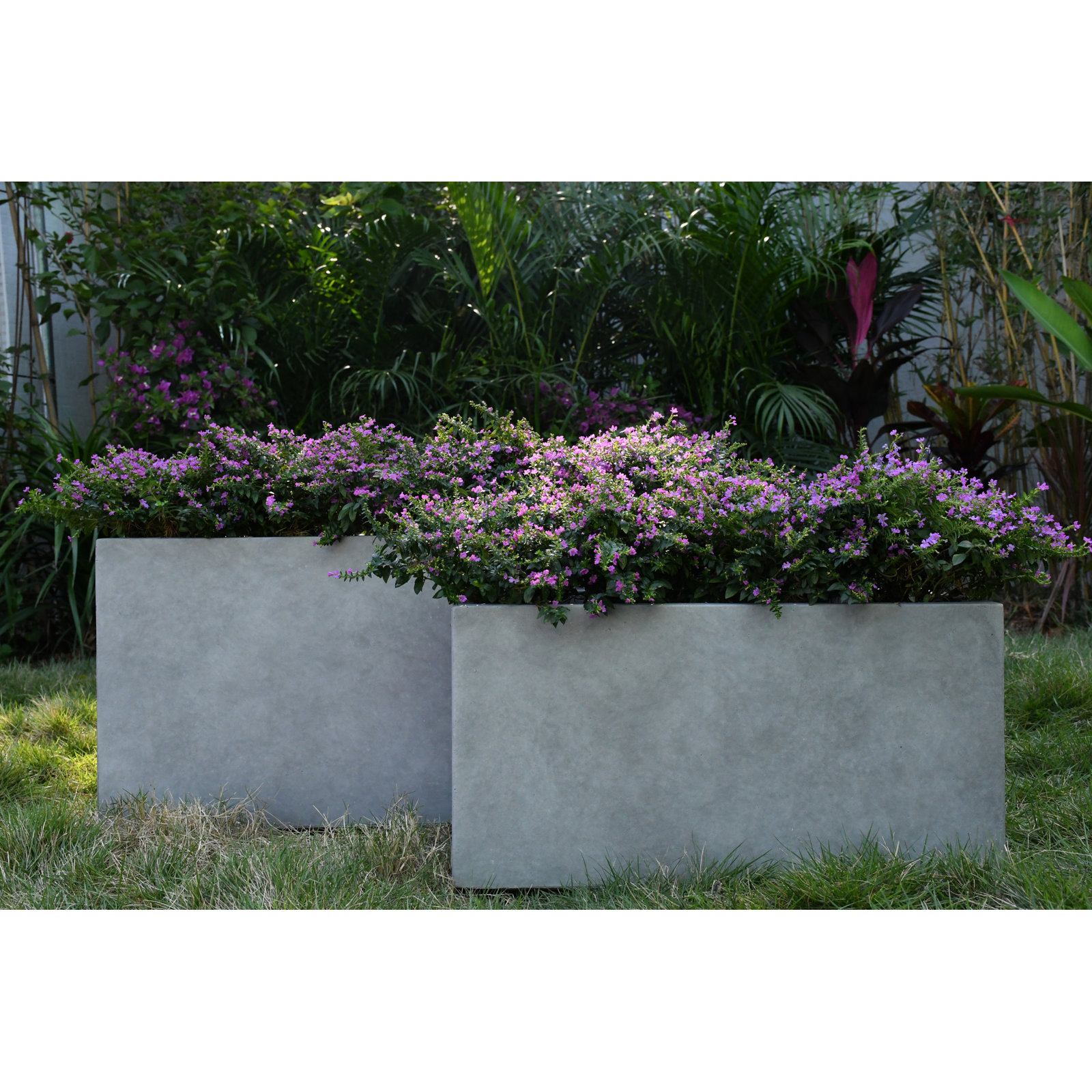 Tali 12" Planter Box