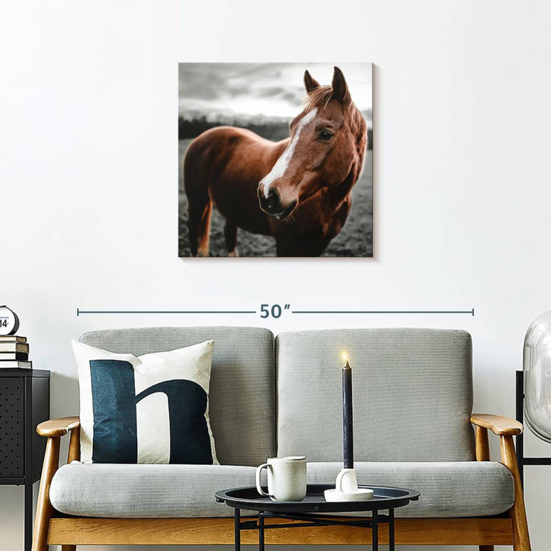 Brampt Shining Horse