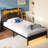 Zohreh Metal Bookcase Storage Bed with RGB LED Lights and Charging Station-1669336628