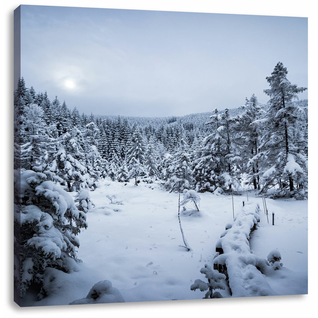 Leinwandbild Winterlandschaft, vereister See