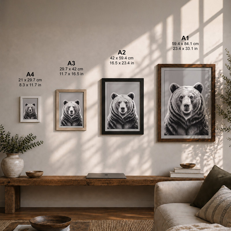 Bear's Direct Gaze Modern - Framed Print, A2 - 59.4 x 42.0 cm, White