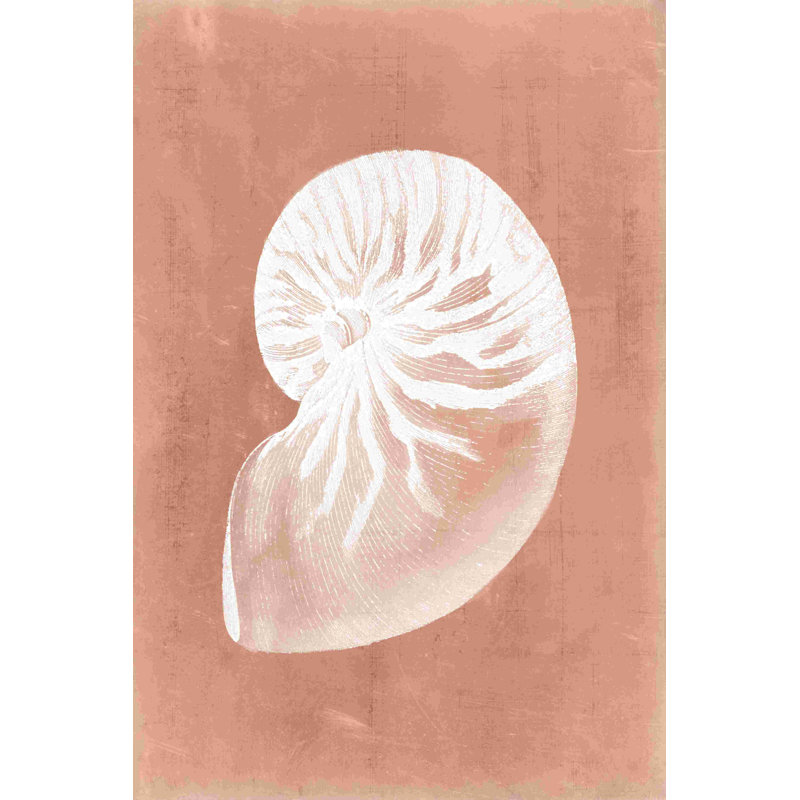 Sealife sur corail V, H 18 po x l 12 po