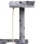 Amerina Cat Tree-57862137-57862138
