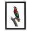 Blue Headed Lorikeet by F. Levaillant - Picture Frame Graphic Art Print-55544205-55544206