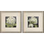 Hydrangeas on Black S/2