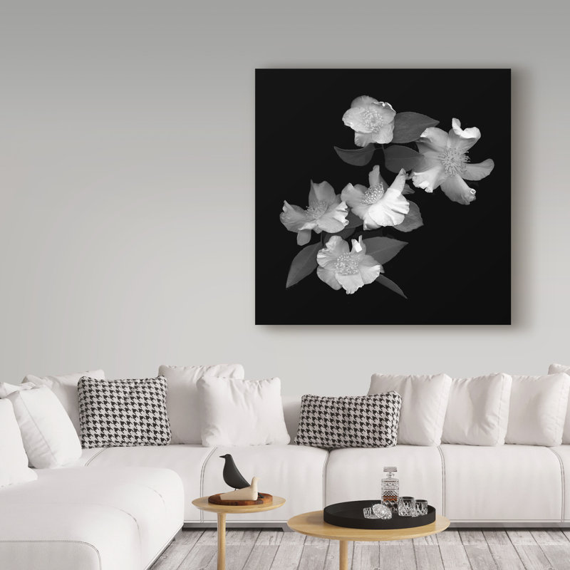 «White and Pink Camellia Black and White» par Dosta, impression sur toile tendue, H 14 po x l 14 po x P 2 po