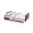 Selena Brown Sofa Sleeper With Storage