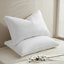Plush Goose Feather Pillow