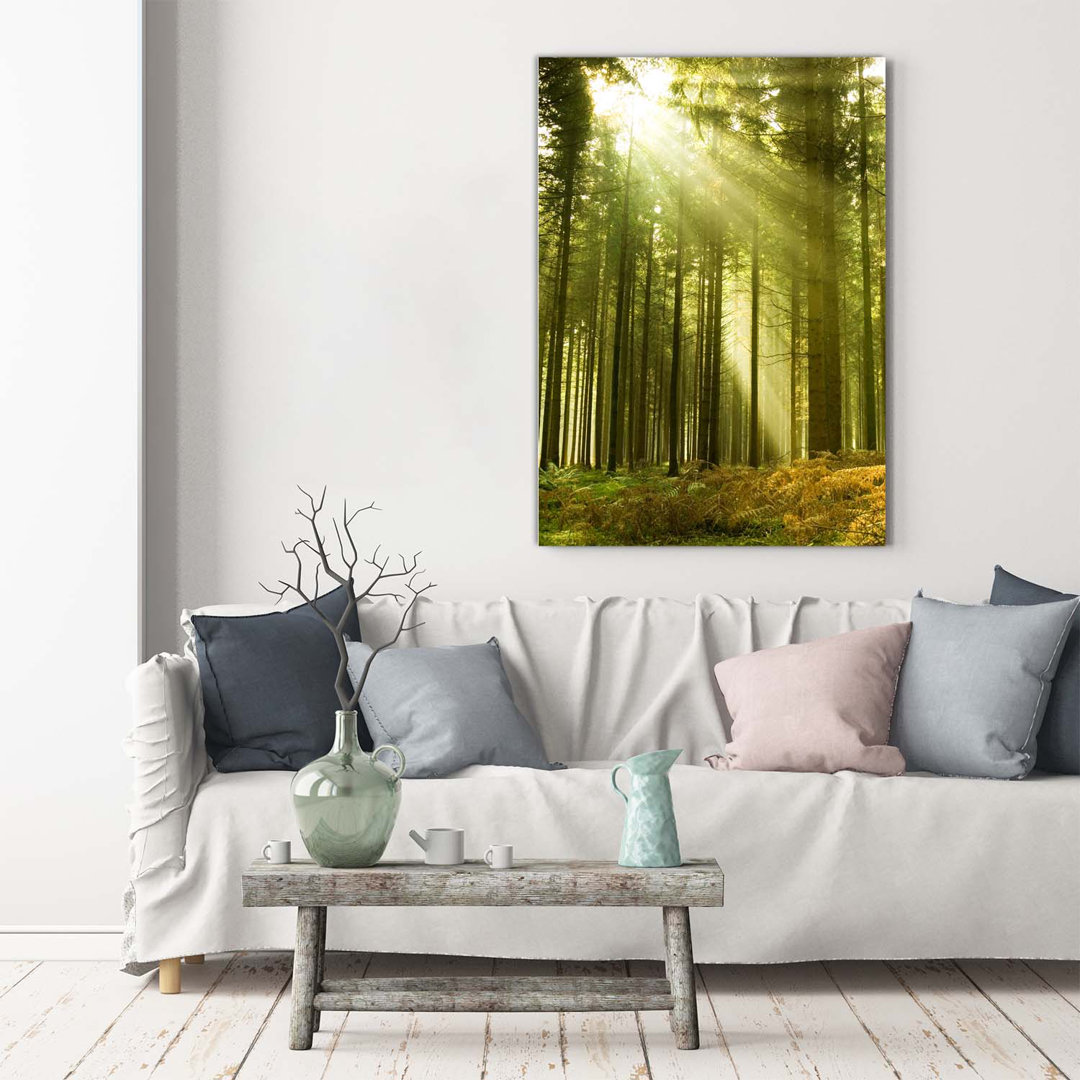 Sonne im Wald - Kunstdrucke auf Leinwand