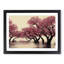 Thrilling Cherry Blossom Trees - Framed Print-1925743675-1925743673