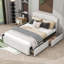 Dalston Queen Tufted Storage Platform Bed-1893636420