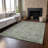 Premium Machine Washable Prisco Aloe Rug-330708577