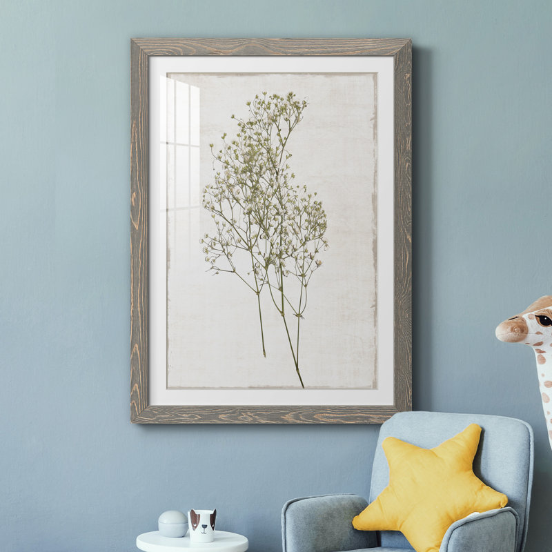 Farmhouse Pressed Flower I - peinture encadrée, gris, H 37,5 po x l 27,5 po x P 1,5 po
