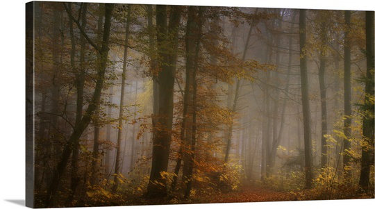 «Straub My August» par Norbert Maier - reproduction de photo, H 32 po x l 60 po x P 1,5 po, Toile
