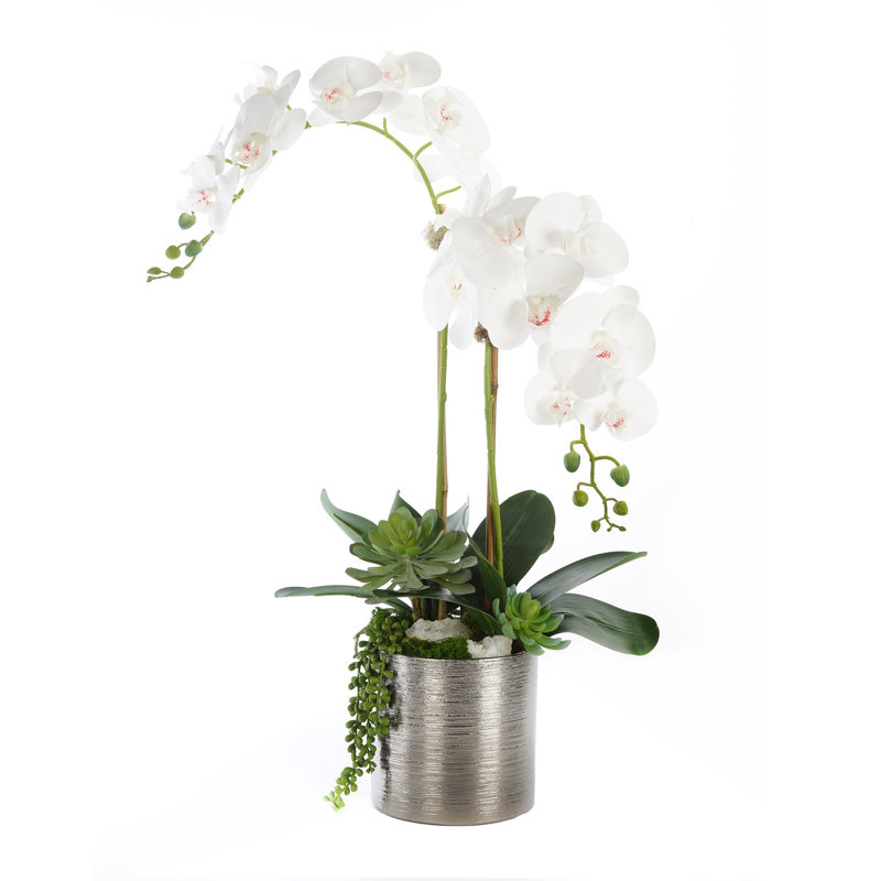 Real Touch Orchid Centerpiece in Pot