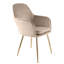 Taraji 46cm H Velvet Upholstered Metal Armchair-113191230-113191229
