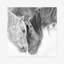 B&W Horses VII by PHBurchett - Print-1778051830-1778051826