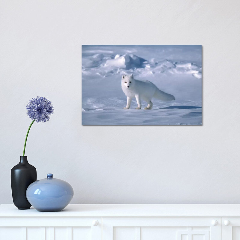 Arctic Fox in Spring, North Slope, Alaska 1 Piece Wrapped Canvas Wall Art, 30.48 cm H x 45.72 cm W