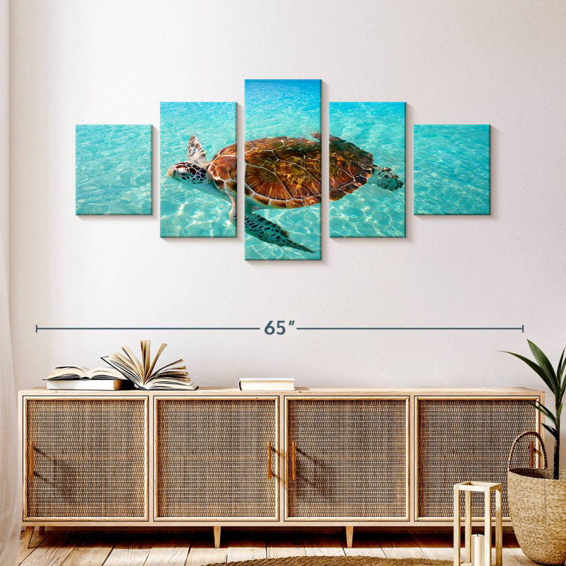 Tortue de plage Brampt, H 24 po x l 55 po