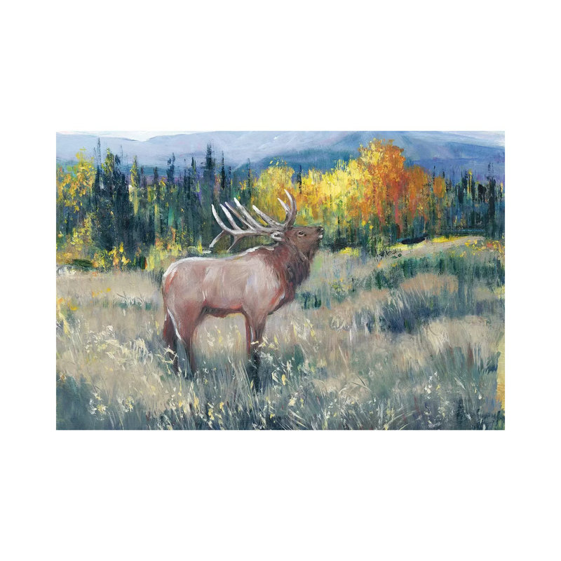 Rocky Mountain Elk II by Tim OToole - Wrapped Canvas Painting, 20.32cm H x 30.48cm W 1.9cm D