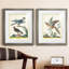 «Pastel Birds III», ensemble de 2 reproductions d'art sur toile encadrées