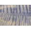Tapis moderne touffeté à la main mauve-bleu marine 5 pi x 8 pi Rectangle Maeta
