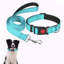Ensemble de laisse pour collier de chien réfléchissant avec verrou de sécurité réglable de 59 po pour chiens de taille moyenne, bleu-131216291