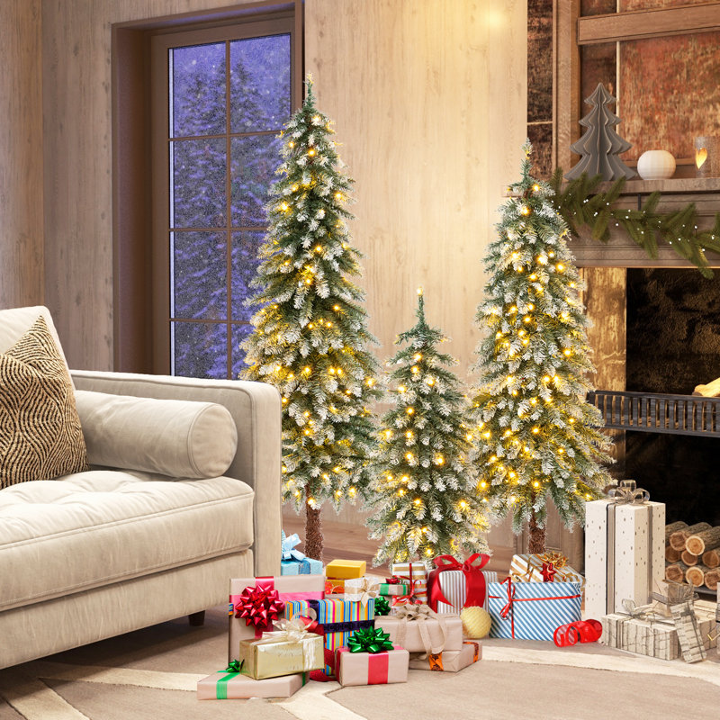 5' Lighted Pine Christmas Tree