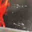 Photos des clients 4 de 6