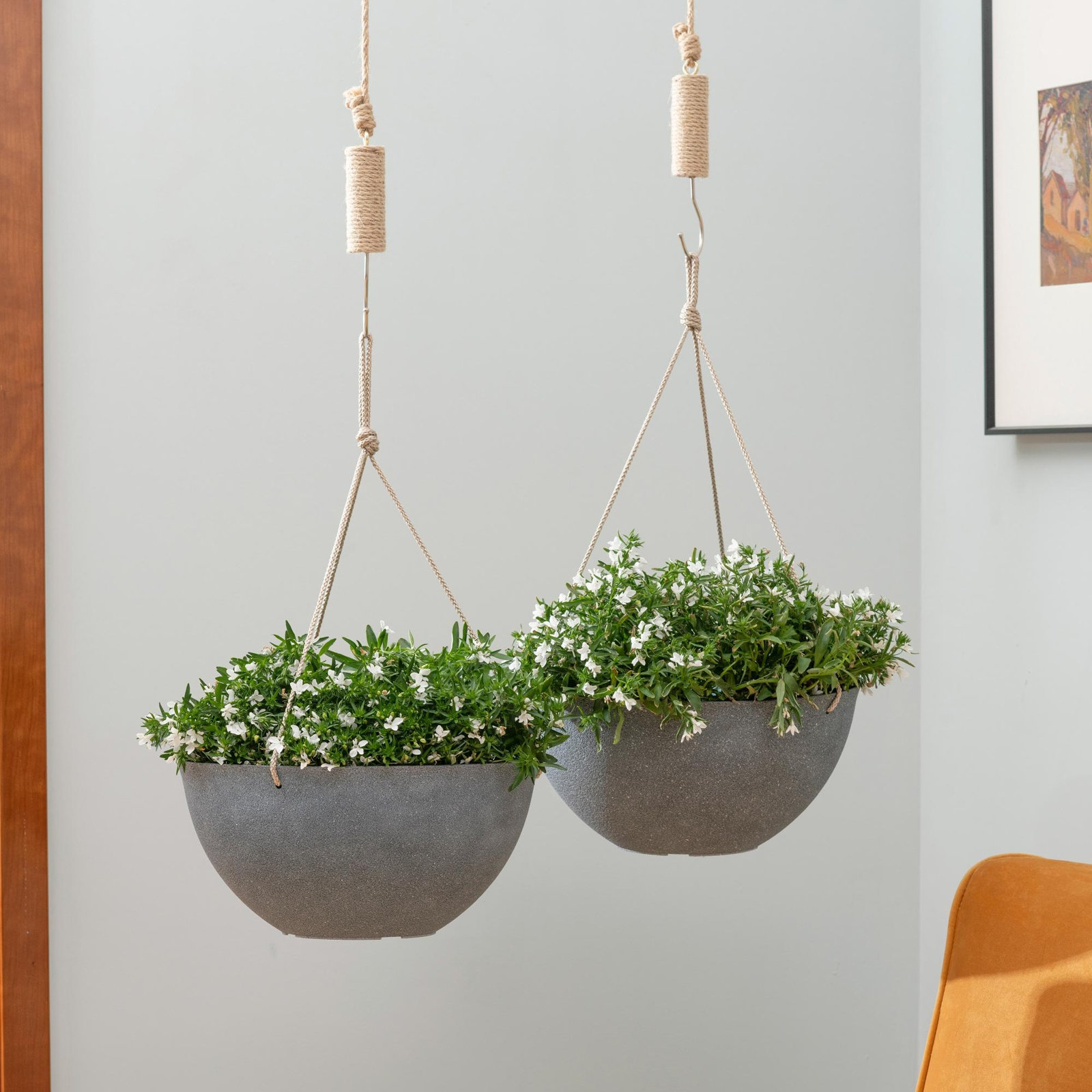Boxdale 13" Hanging Planter, Matte Gray, 6.3" H x 13.2" W x 13.2" D