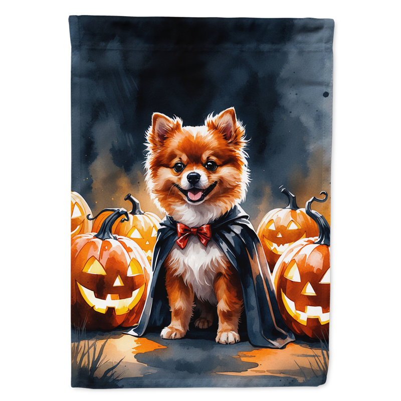 Drapeau de jardin chiot Halloween, Poméranien