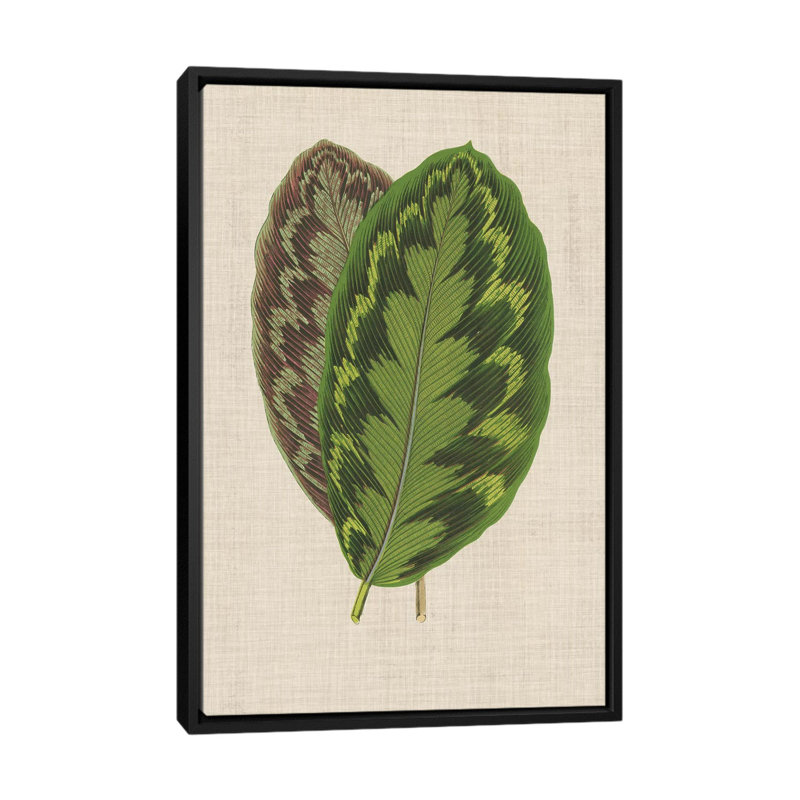 « leaves on linen iv », reproduction d’impression sur toile, Toile avec cadre noir, H 26 po x l 18 po x P 1,5 po