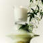 Indian Jasmine Classic Candle-327531124