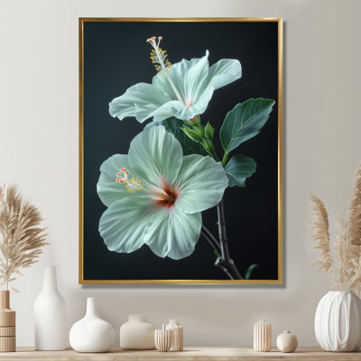Hibiscus vert cristal II - Hibiscus