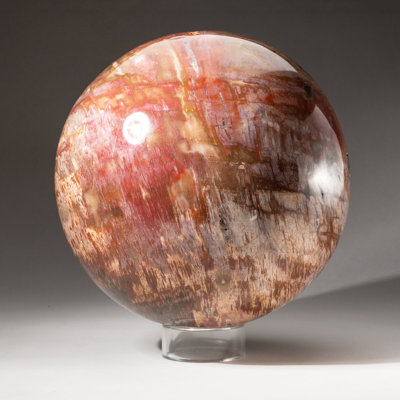 Cloche Or Water Globe