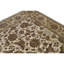 Wool Oriental Area Rug in Gold