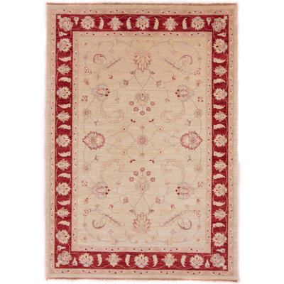 Oriental Hand Woven Area Rug
