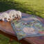 Tea Towel - Pangolin Pair-651611208
