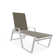 Holna Outdoor Rust-Resistant Metal Chaise Lounge