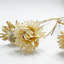 Bundle of 4 - Dried Preserved Ruby Daisy Flower in 21" in Natural-111318237