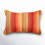 Boynton Rectangular Pillow Cover & Insert-36856589-36860304