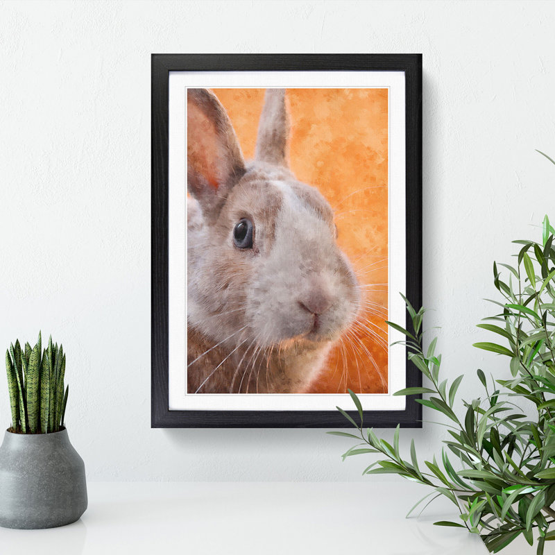 Bunny Rabbit in Colour - Picture Frame Graphic Art, 36cm H x 27cm W x 2cm D, Black Framed