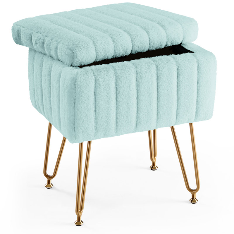 Tabouret de coiffeuse moderne avec 4 pieds en métal et rangement, repose-pieds multi-usage pour chambre de maquillage