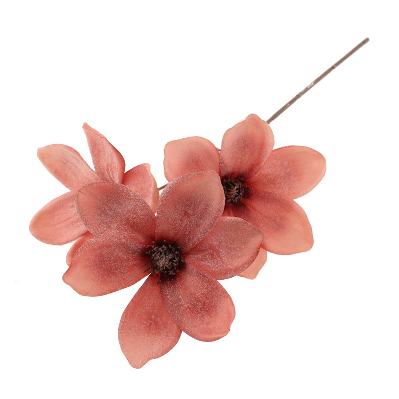 Magnolia Arrangement, Pink