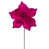 Rose vif