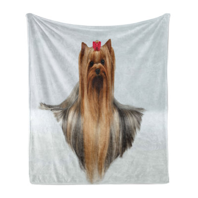 Ambesonne Yorkie Fleece Throw Blanket Groomed Hair Brown White