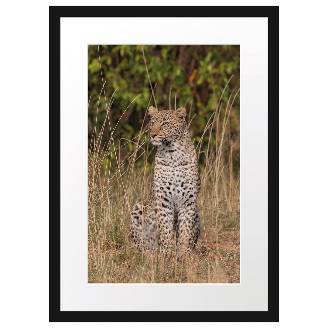 Anmutiger Leopard im hohen Gras Gerahmter Fotokunstdruck